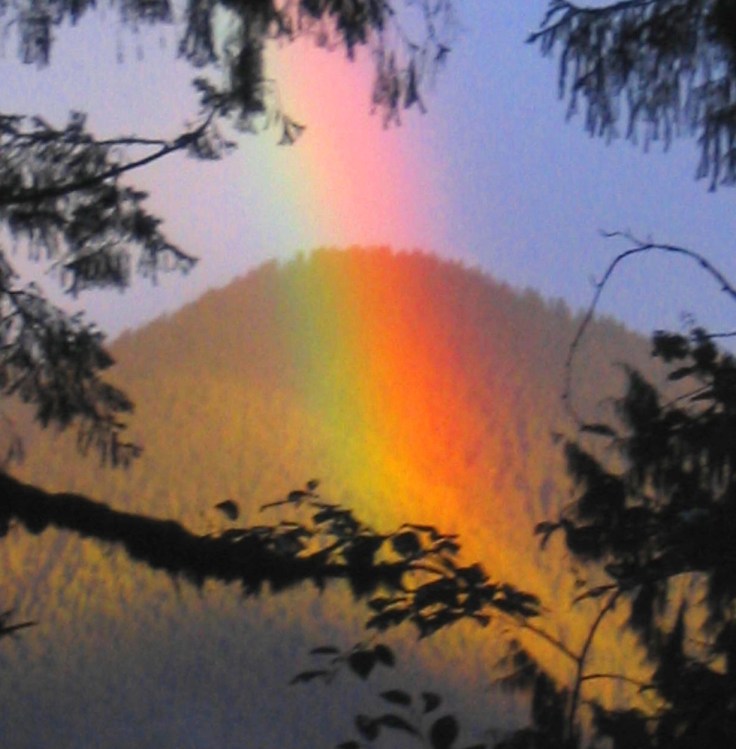 Mt Baker Rainbow