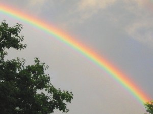 Rainbow