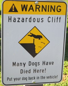 Dog Cliff Warning