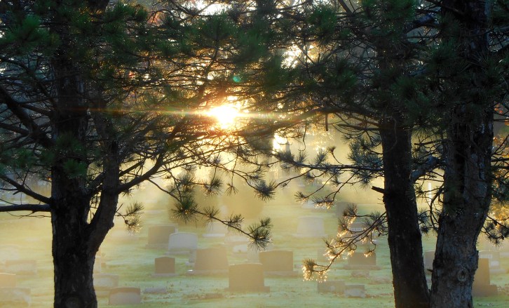 Cemetery Light Burst