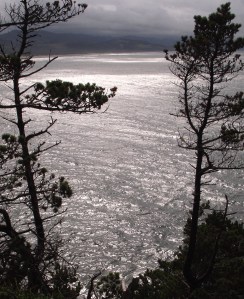 kiwanda-distant-cliff-top