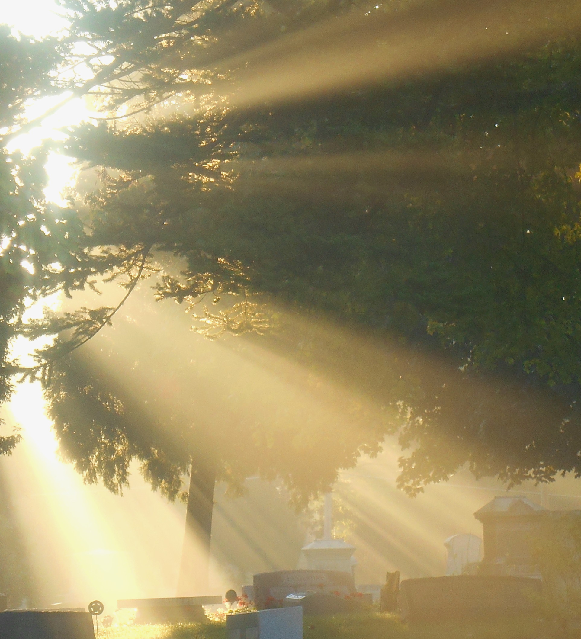 rays-of-light-in-cemetery