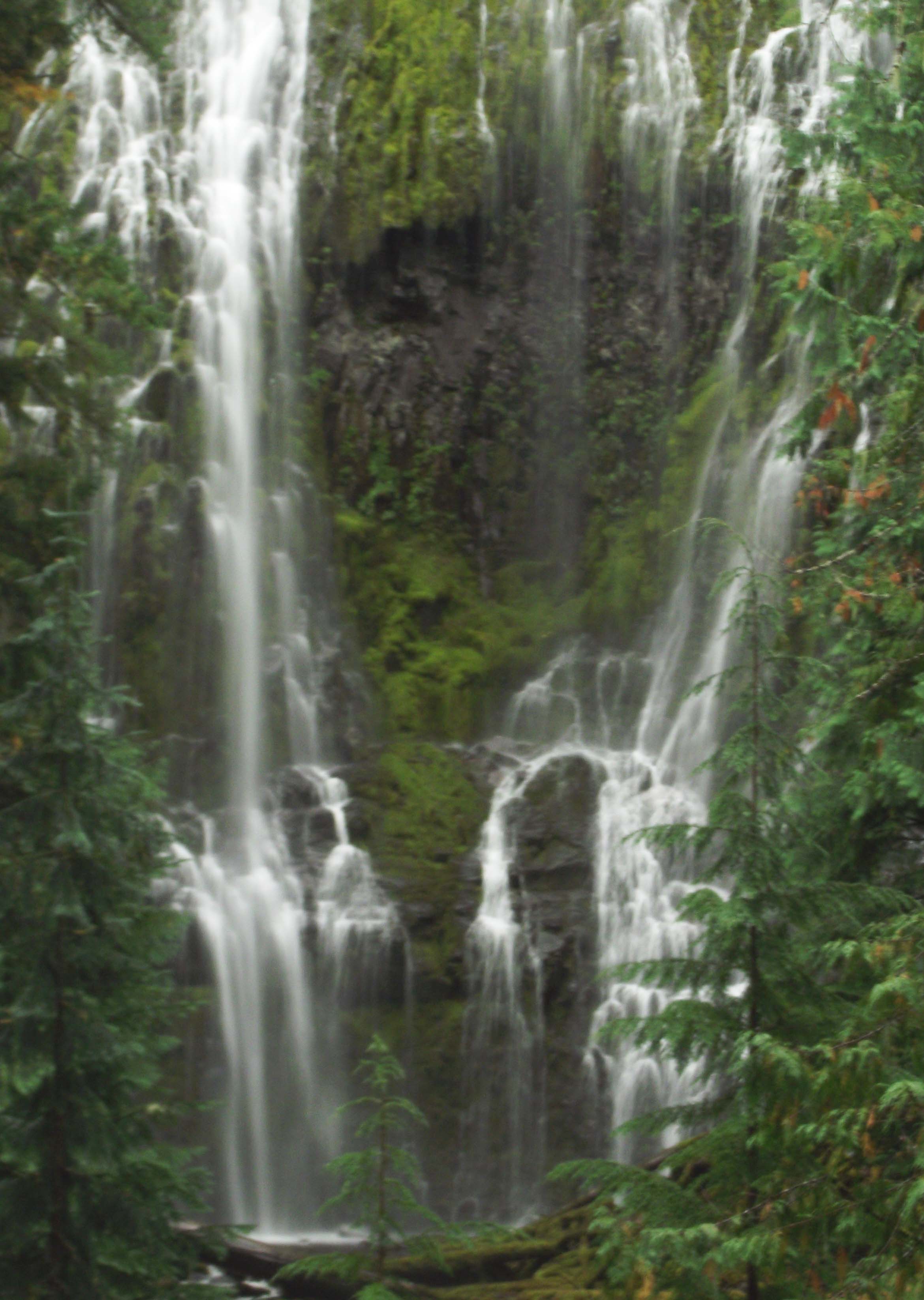 Proxy Falls