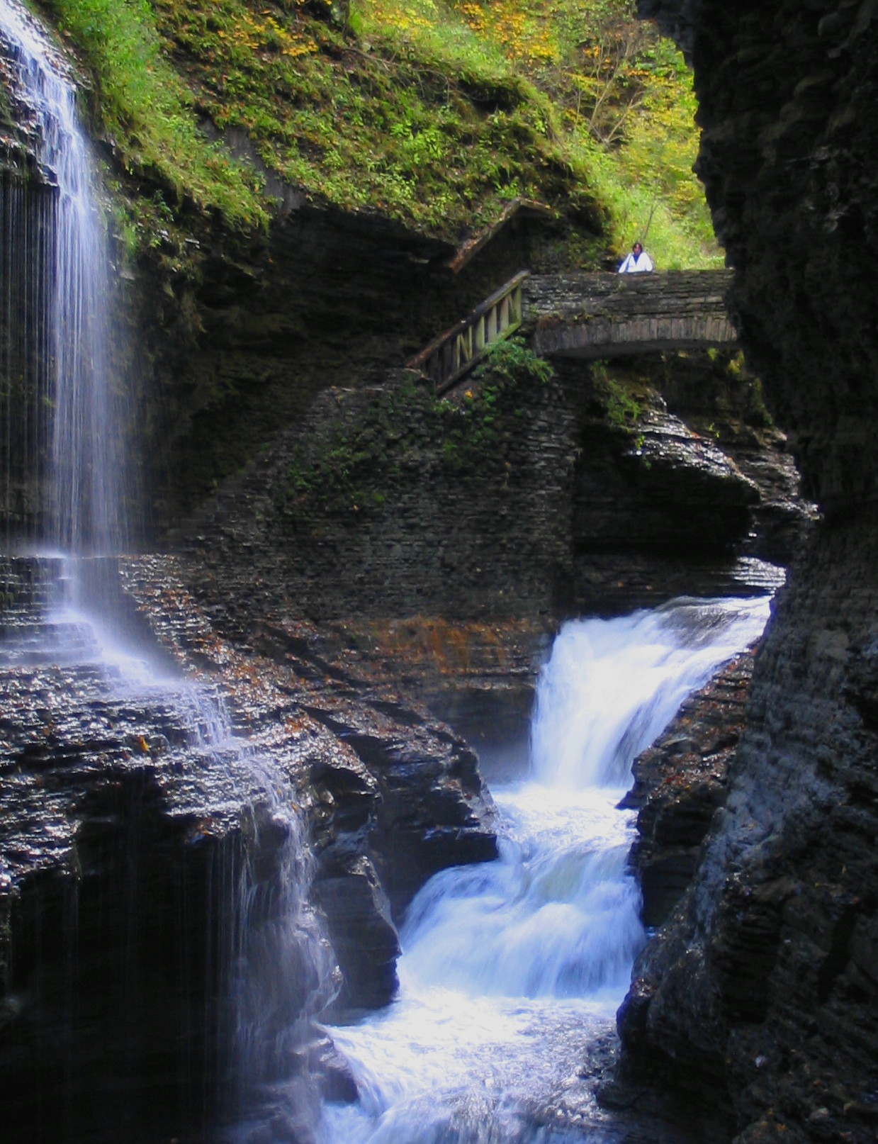Watkins Falls and Bridge