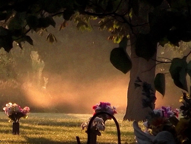 Cemetery Floating Mist
