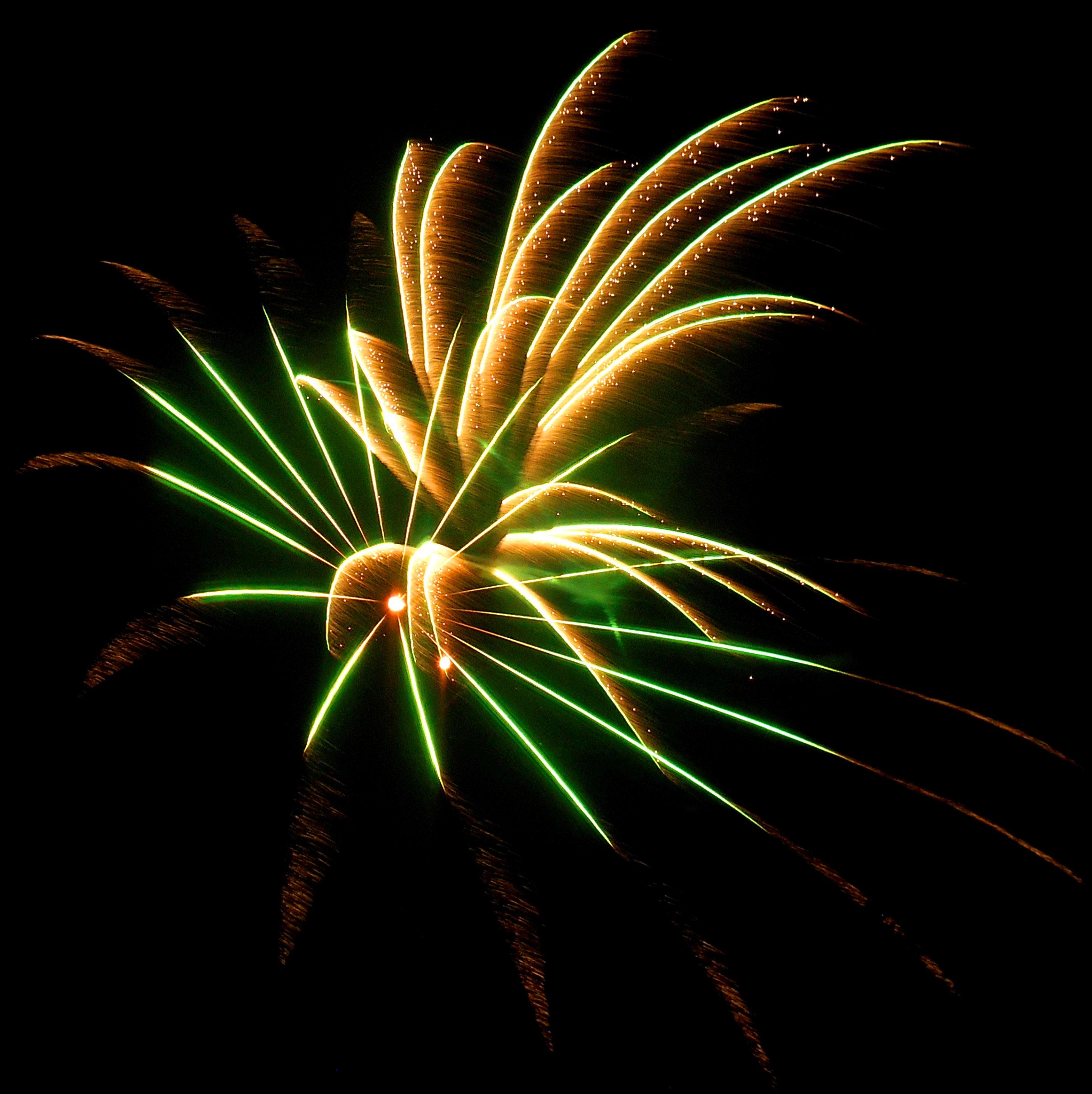 palm fireworks A