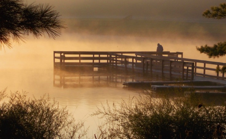 Morning Dock Silvercreek