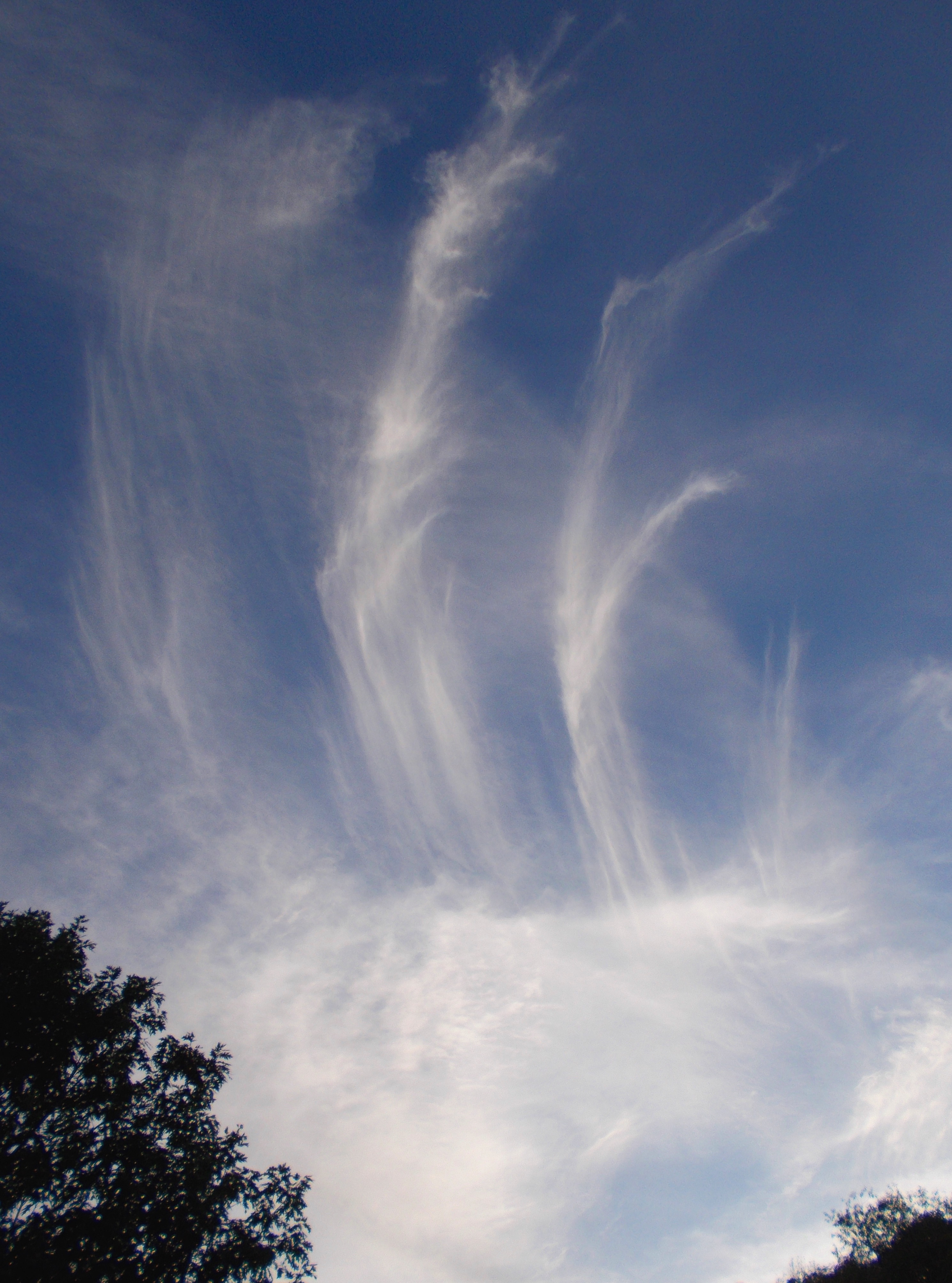 Cloud Tendrils
