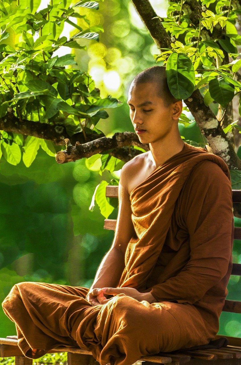 Monk Meditation under Tree