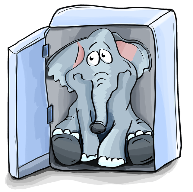 Elephant in Refrig