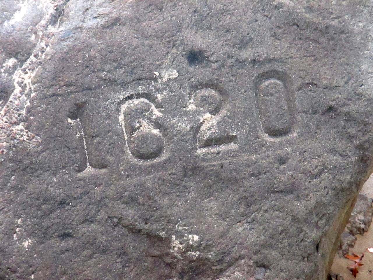 1620 Plymouth Rock