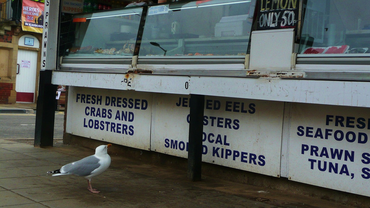 Seagull Locked SeaFood