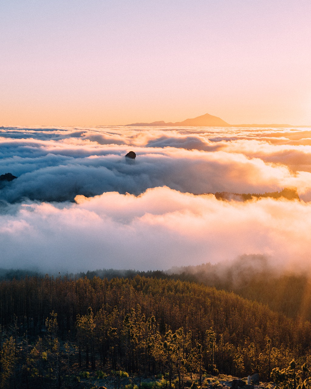 Mountain View Above Clouds
